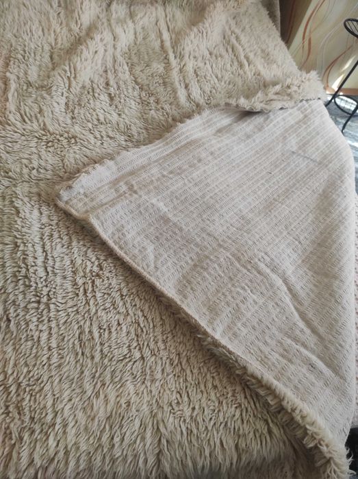 Родопски китеници