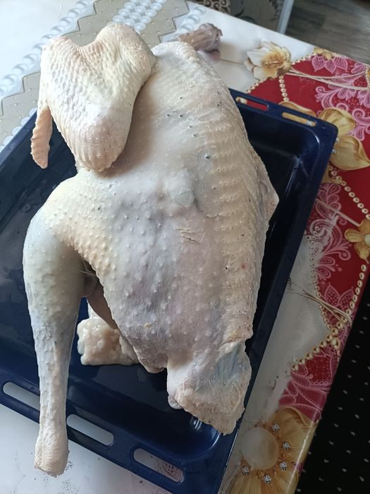 Продам мясо индейки, за кг 4500