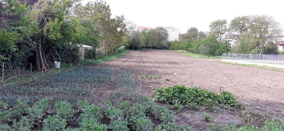 Teren intravilan centru Husi zona linistita, centrala, ideala ptr casa