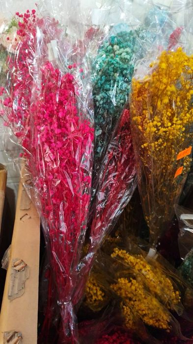 Сух гипсофил връзка