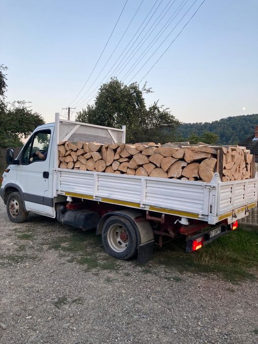 Lemne pentru foc, fag