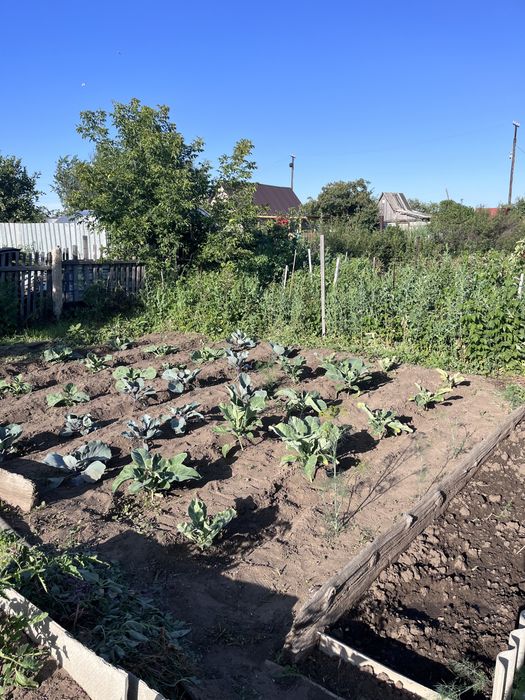 Продам дачу ДО РОМАШКА