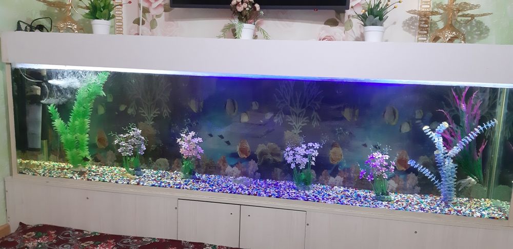 Аквариум 600 литров