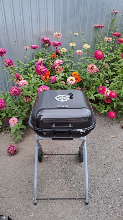 Гриль угольный с шампурами и стартером.