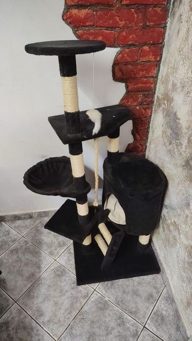 Vând ansamblu de joaca pentru pisici