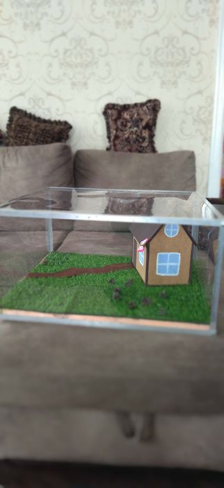 Для детских поделок. В школу. Террариум.