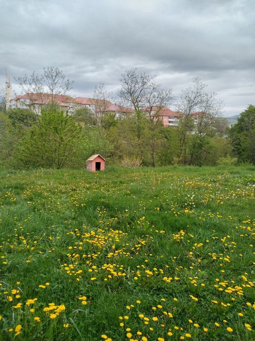 Vând teren Moinești