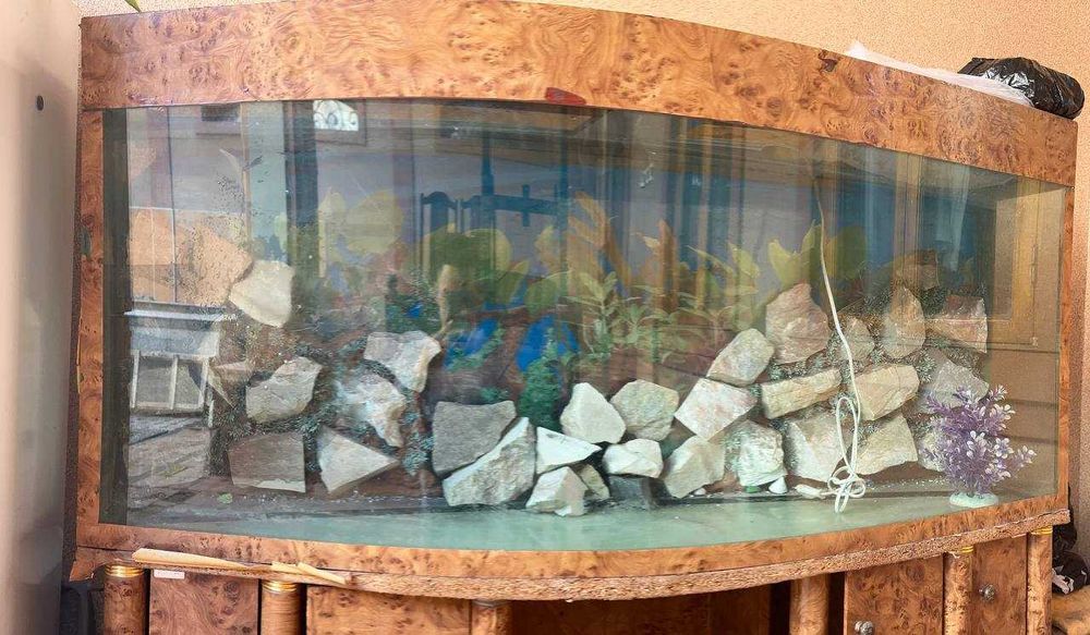 Продаётся большой аквариум - идеально для создания подводного мира!