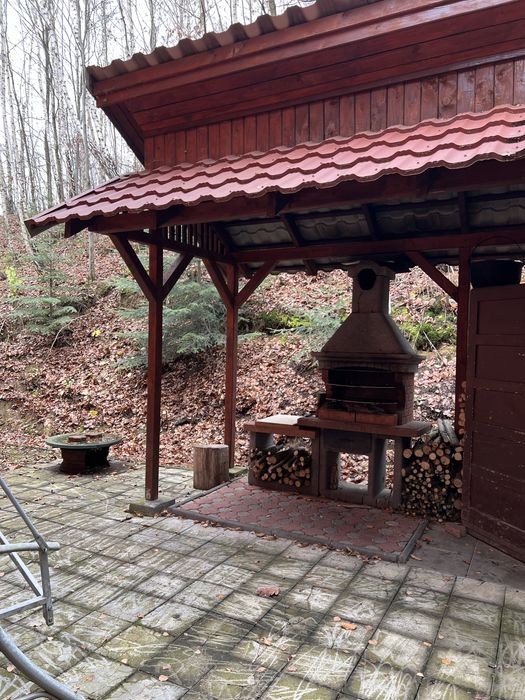 Cabana de inchiriat Bistra Muresului!