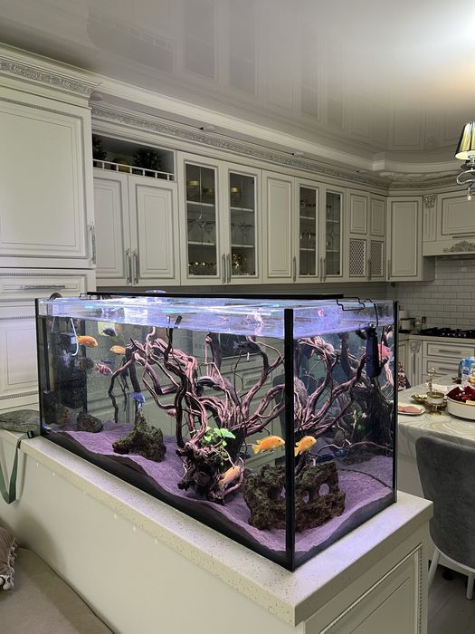 Аквариум 320 л с рыбками в полном комплекте