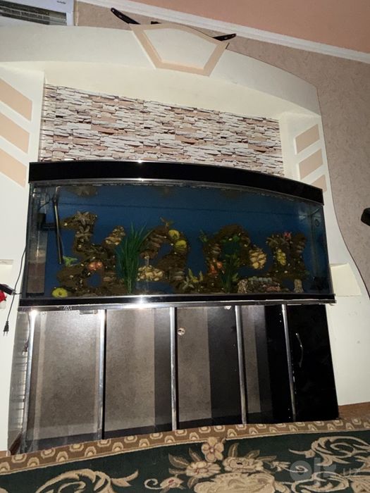 600 litrlik AKVARIUM