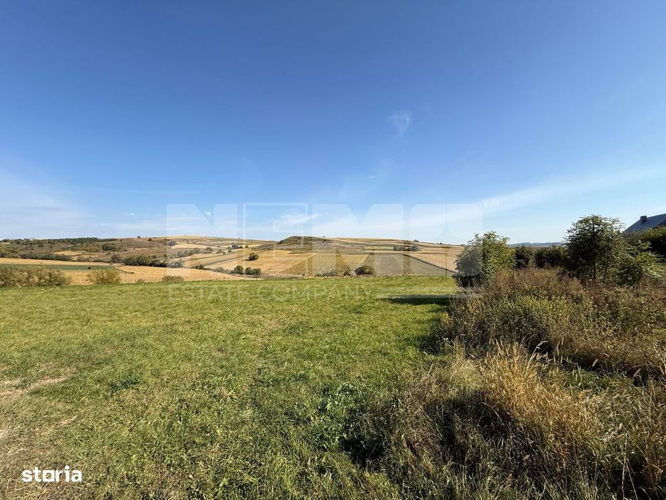 Teren intravilan Burla | 4.000 mp