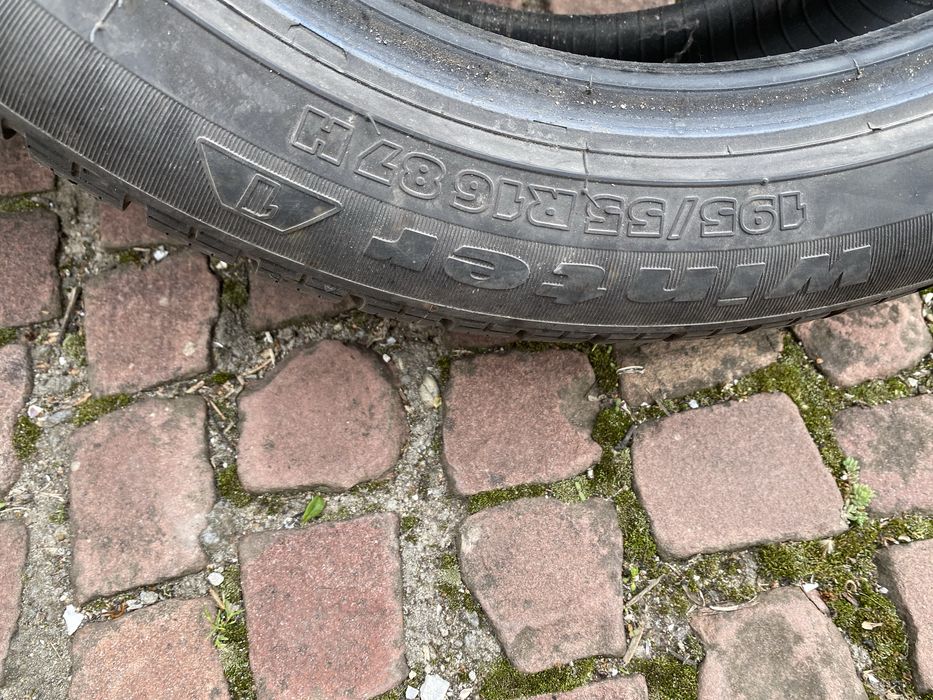 195 55 16 Зимни Tiger