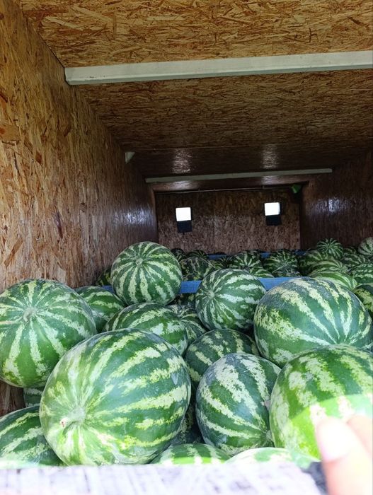 Isuzu NQR 71 pl 2017 tentovka