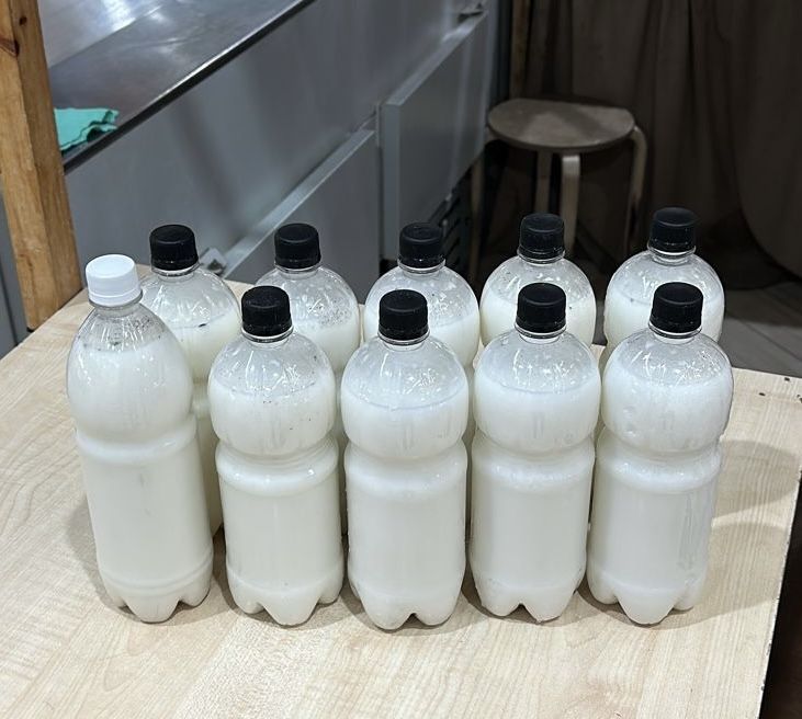 Продам Баянский кымыз( кумыс)