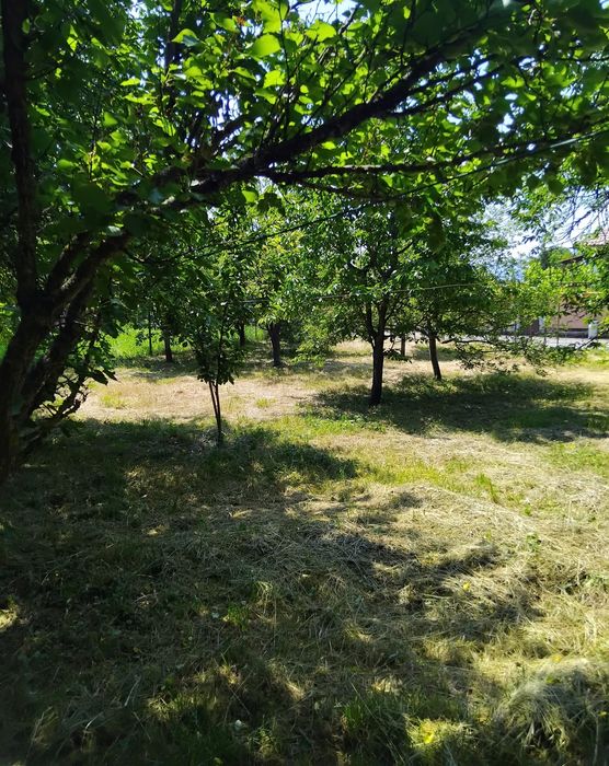 Продава се Къща в Кюстендил, Бузлуджа - 80 кв.м за 568 €/кв.м - Снимка #5