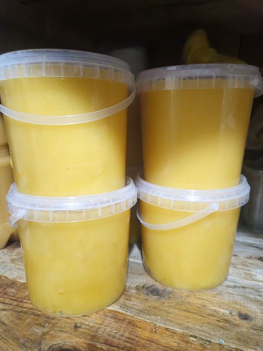 Продам свежий мед 2025