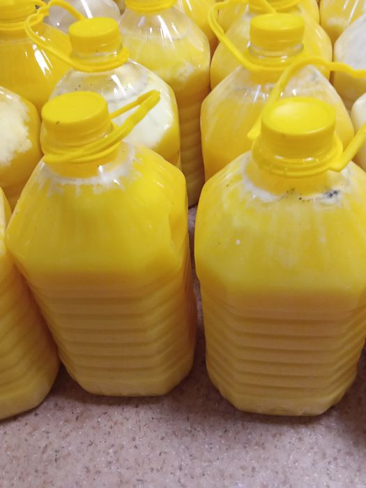 Мед катонский  5 л=15000