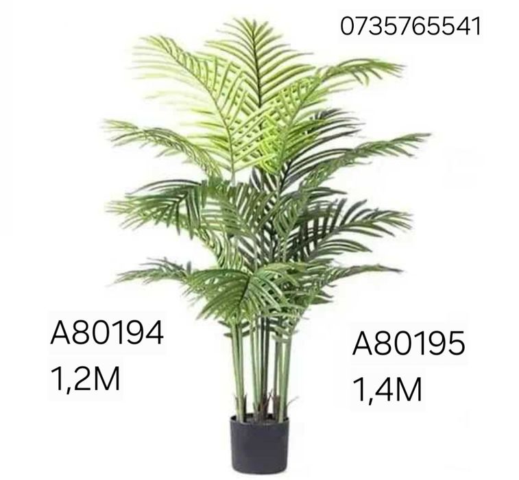 Palmier maslin copac exotic frunze cu aspect natural