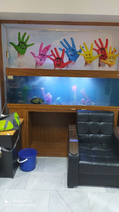 Чистка аквариума. Обслуживание, оформление аквариума.