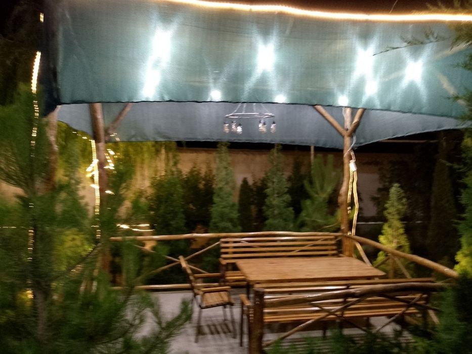 Dacha yangi hayot