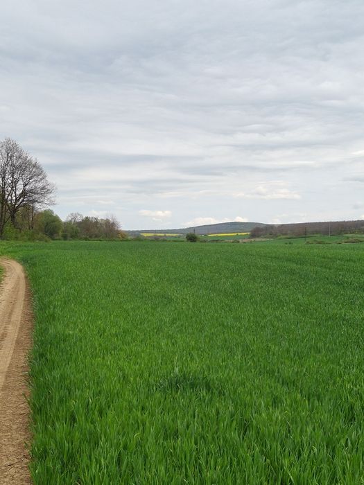 Продава се Земеделски имот в с. Ябълчево, Област Бургас -  кв.м за 2285 €/дка - Снимка #7