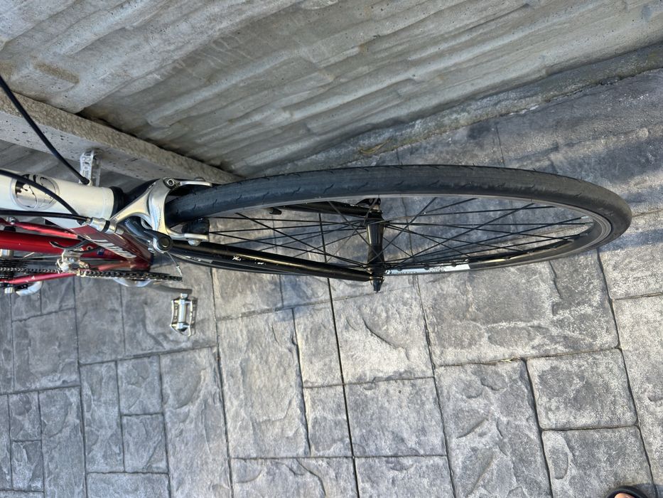 Cursiera Giant OCR
