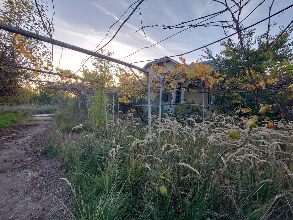 Teren intravilan si casa la tara