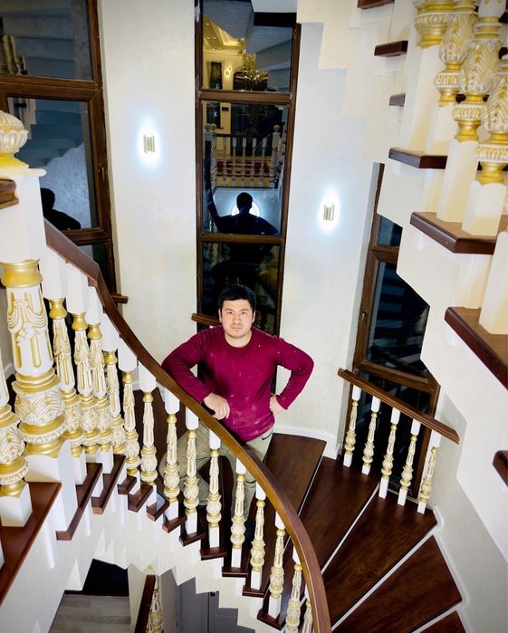 napoyalar леснистса  ёгоч зина zina apshipka