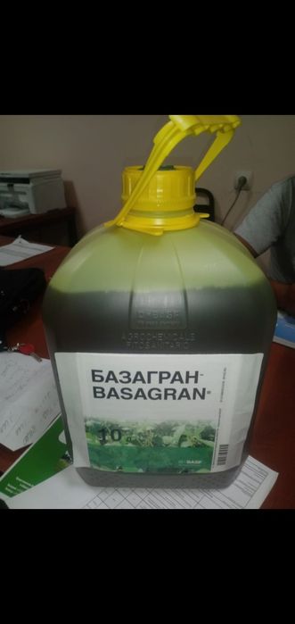 Қара су перісін ұрды