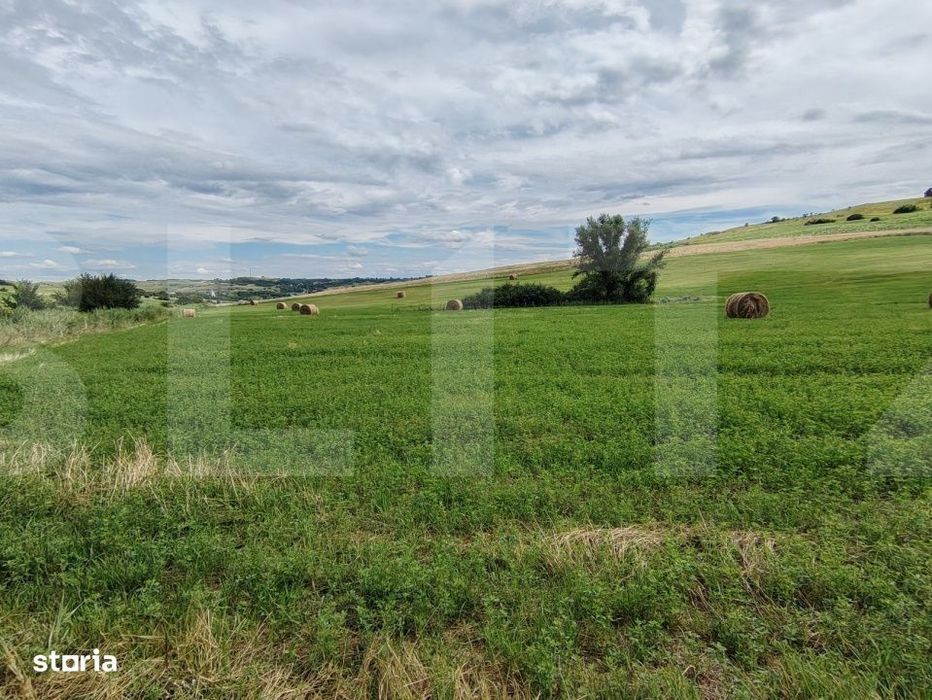 Teren extravilan – 2,2 hectare in Hiliseu-Horia,jjudetul Botosani