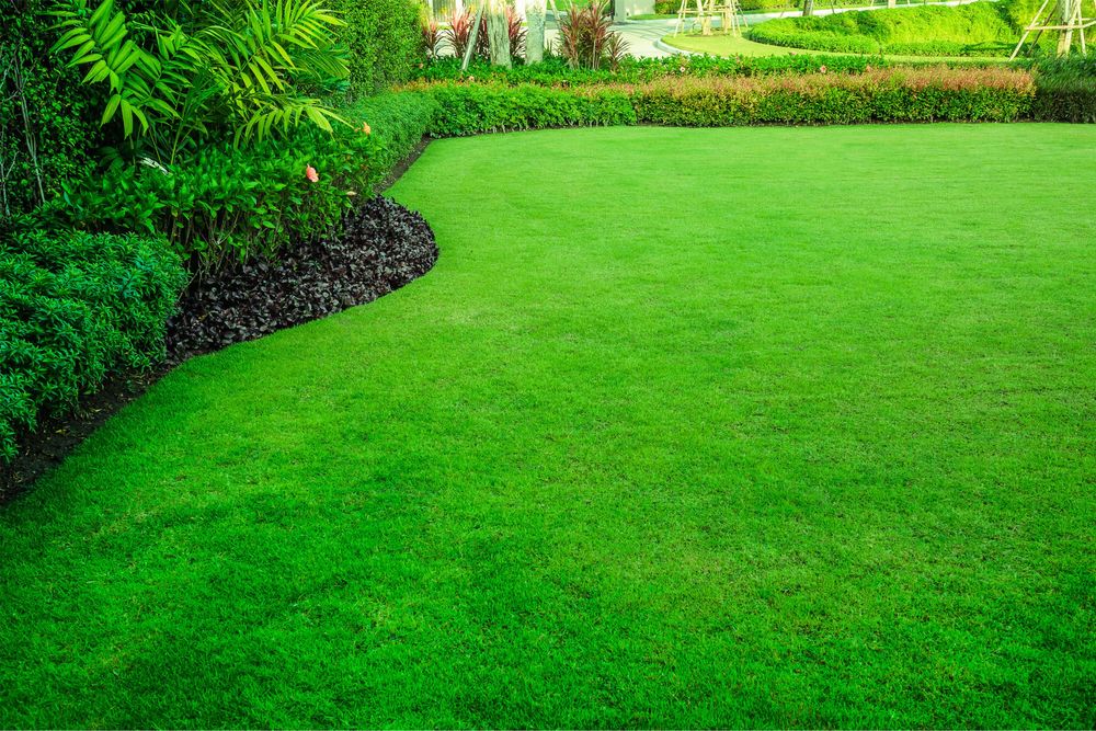 газон уриш хизмати