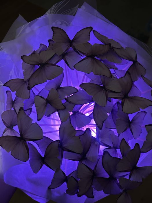 Букет из бабочек