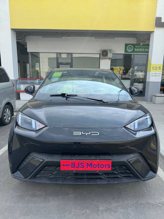 BYD Другая 2023