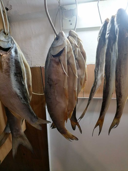 Продам сушёную рыбу жерех