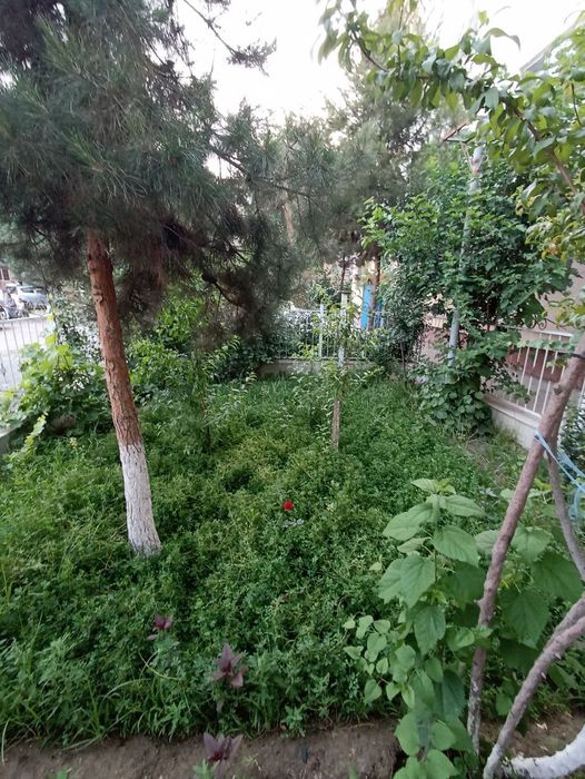 ПРОДАЕТСЯ 4Х КОМНАТНАЯ КВАРТИРА на 1 этаже.СВОЯ.С двух сторон огород.