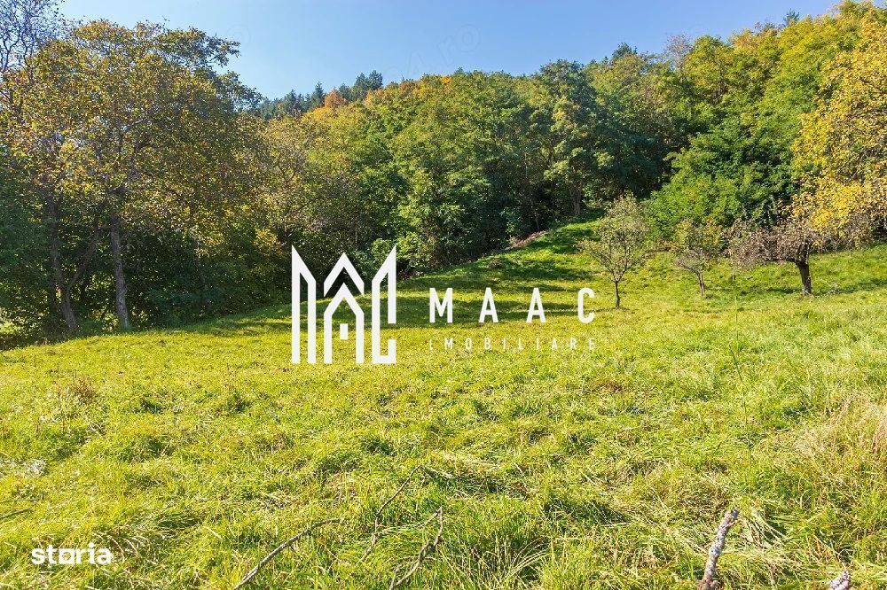 Teren | Intravilan | 2439 MPU | Fântânele