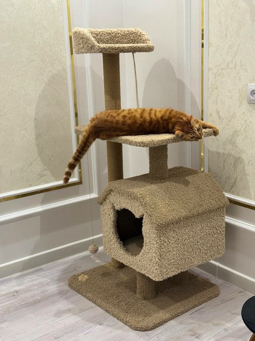 Домик для кошек. Игровой комплексы. Качество 100. Зоодомики