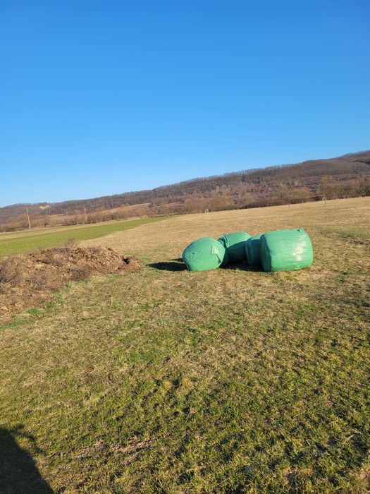 Baloți de lucernă înfoliați