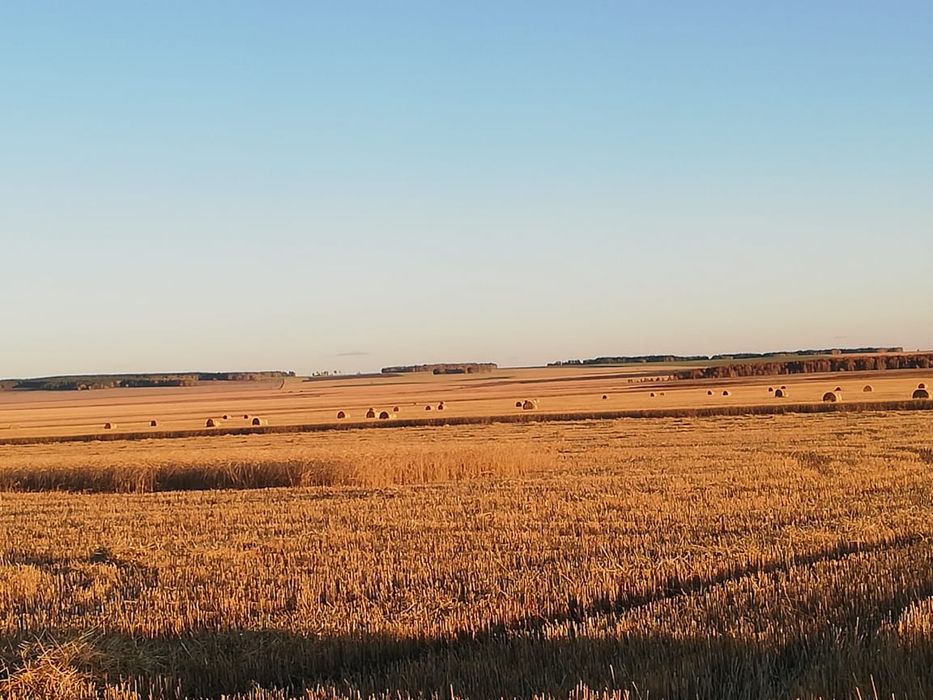 Продам крестьянское хозяйства