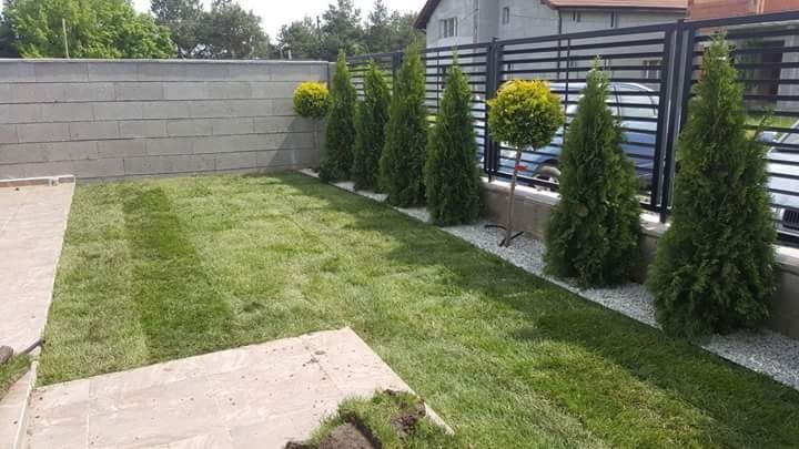 Plante ornamentale și rulou de gazon, Livrare rapida oriunde în Țară