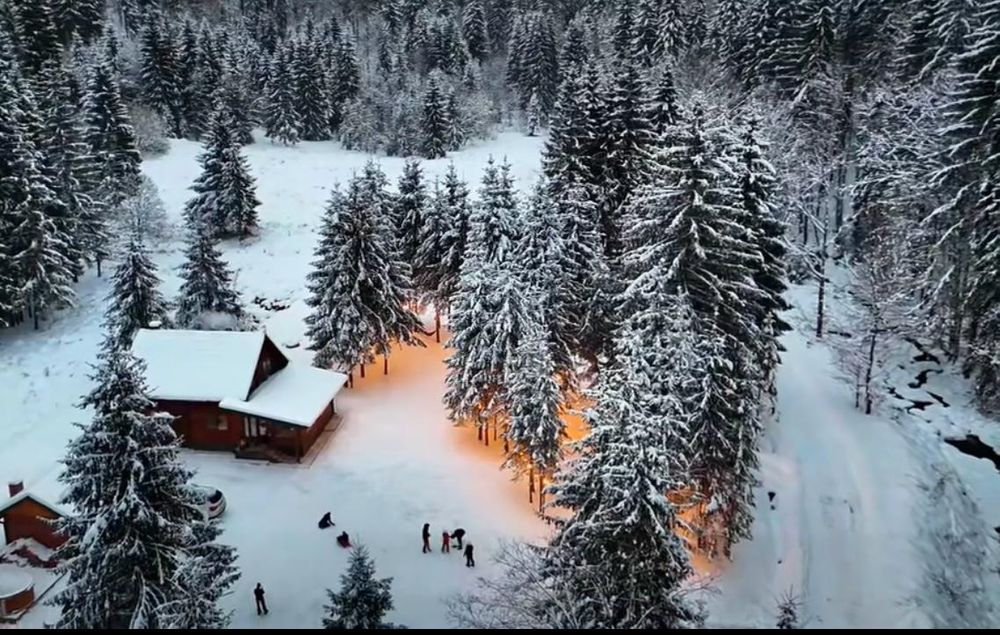 Cabana de închiriat- Iod, Rastolita, relaxare in natura
