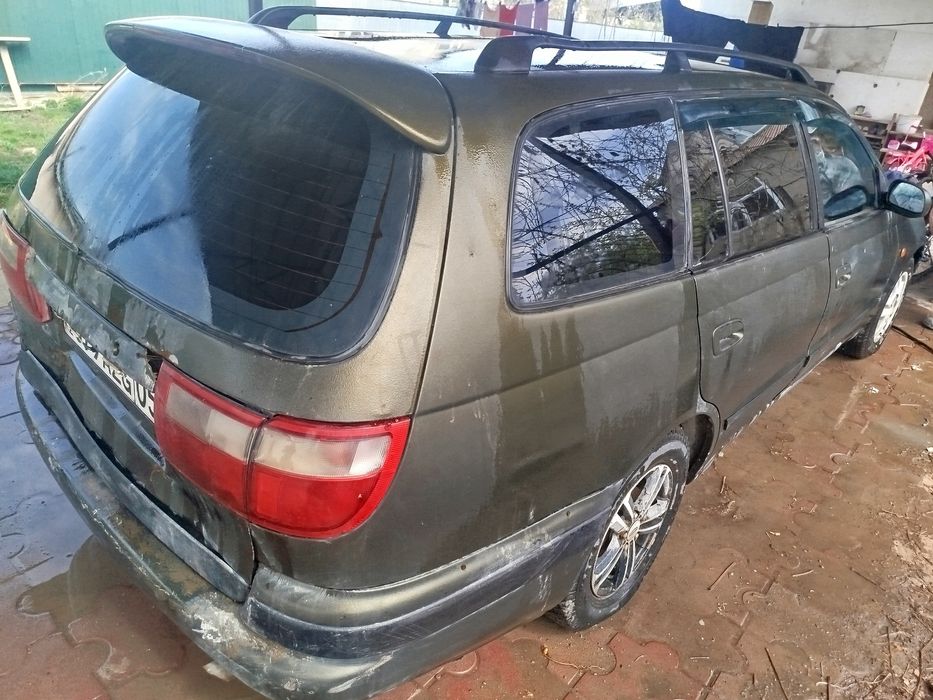 Таета карина е уневерсал