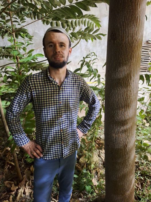 Pavloniya M1 kafolatli ko'chatlar