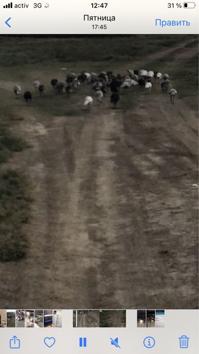 Индук сатылады а