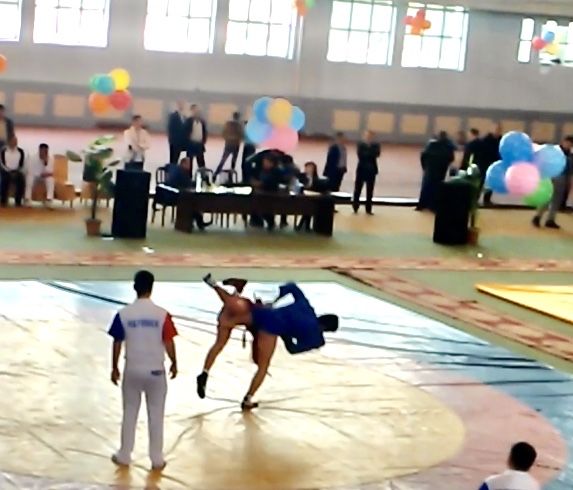 Тренировка по ММА (Боевое Самбо)