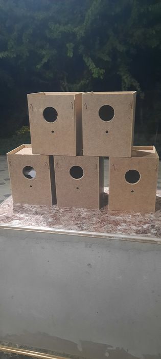 Декоративные птицы