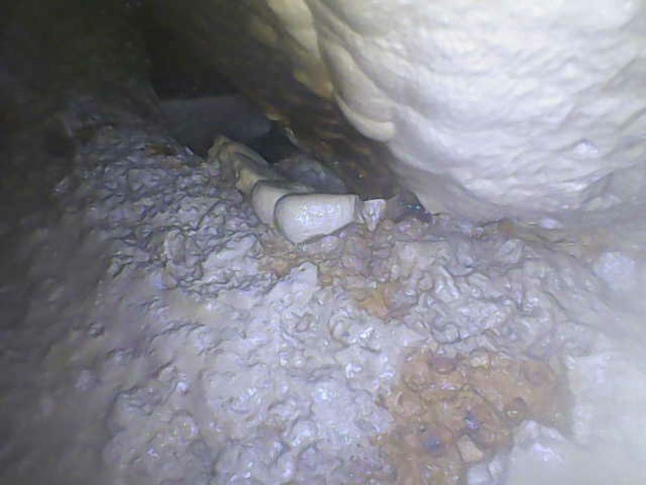 Эндоскоп, фото-видео, қызметі