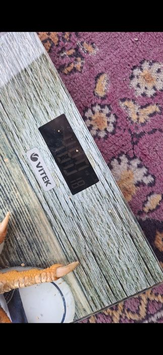 Бойцов, дакан. Шамо