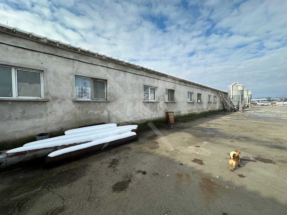 Продава се Промишлена сграда в Брезово - 19119 кв.м за 30 €/кв.м - Снимка #8